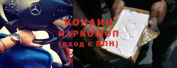шишки Абинск