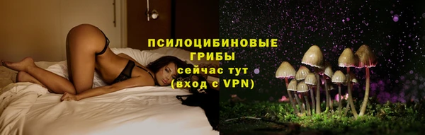 шишки Абинск
