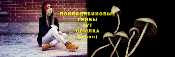 шишки Абинск