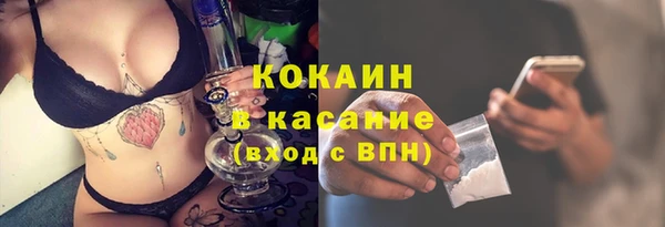 трава Абаза