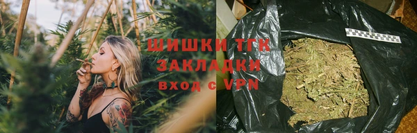 шишки Абинск