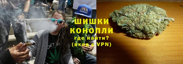 шишки Абинск